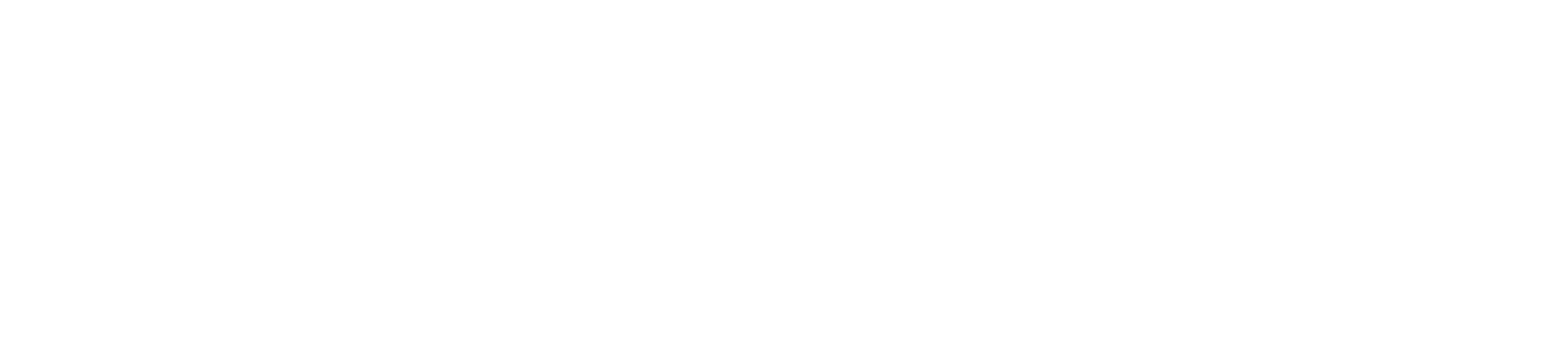 Serwizen